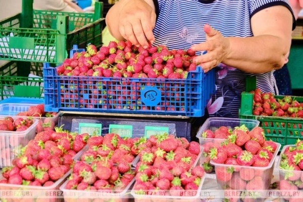 Первые лесные ягоды появились на рынке в Березе. Цены Первые лесные ягоды появились на рынке в Березе. Цены
