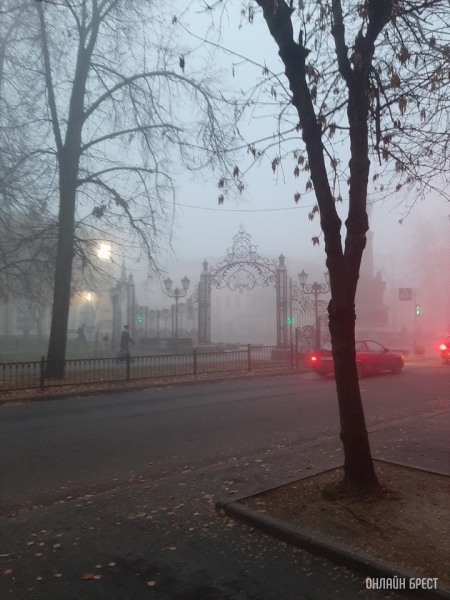 «Оранжевый» уровень опасности объявлен в Бресте из-за туманов