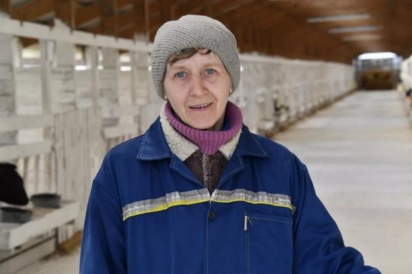 Эксперимент по-белорусски: в одном из колхозов коровам подливают колу Эксперимент по-белорусски: в одном из колхозов коровам подливают колу