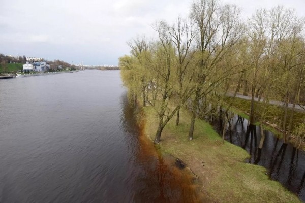 В Гомеле затопило главный городской пляж