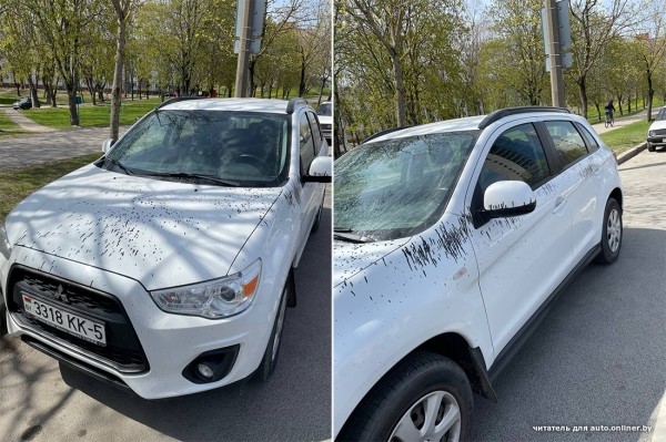 Кто-то облил десятки припаркованных машин гидравлическим маслом. Виновник попал на видео?