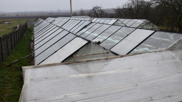 «Если все продам, заработаю чистыми 6 тысяч рублей». Как прораб бросил все и занялся рассадой