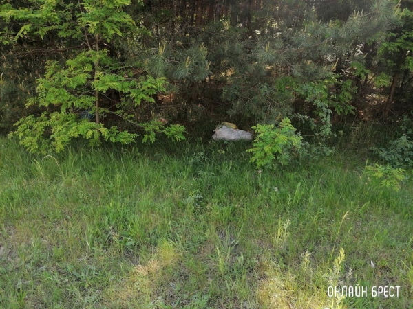 
                Читатель: Хотелось бы обратить внимание на ситуацию с большегрузами
            