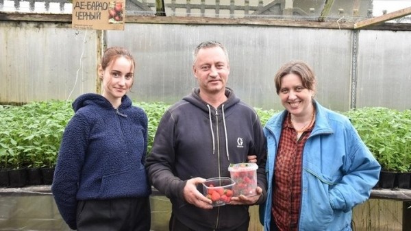 «Если все продам, заработаю чистыми 6 тысяч рублей». Как прораб бросил все и занялся рассадой