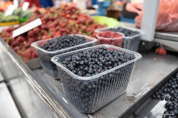 Начался сезон черники. Почем продают первые ягоды из Брестской области? Начался сезон черники. Почем продают первые ягоды из Брестской области?