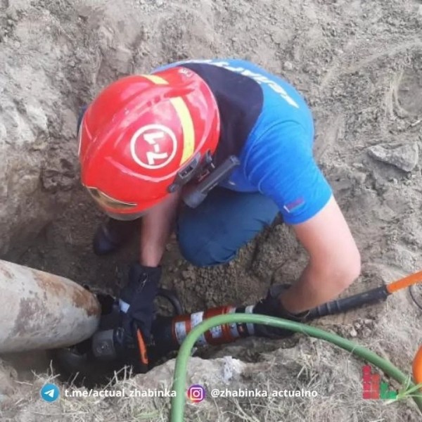 В Жабинке сотрудники МЧС спали щенка