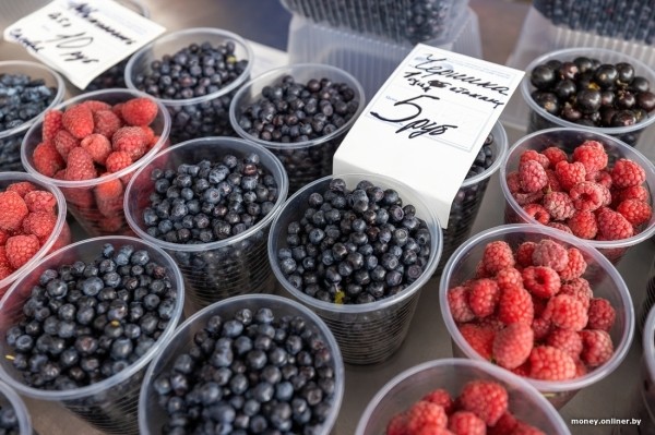 Начался сезон черники. Почем продают первые ягоды из Брестской области? Начался сезон черники. Почем продают первые ягоды из Брестской области?