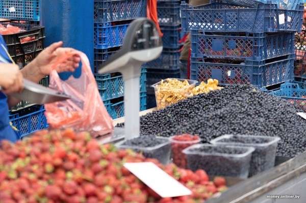 Начался сезон черники. Почем продают первые ягоды из Брестской области? Начался сезон черники. Почем продают первые ягоды из Брестской области?