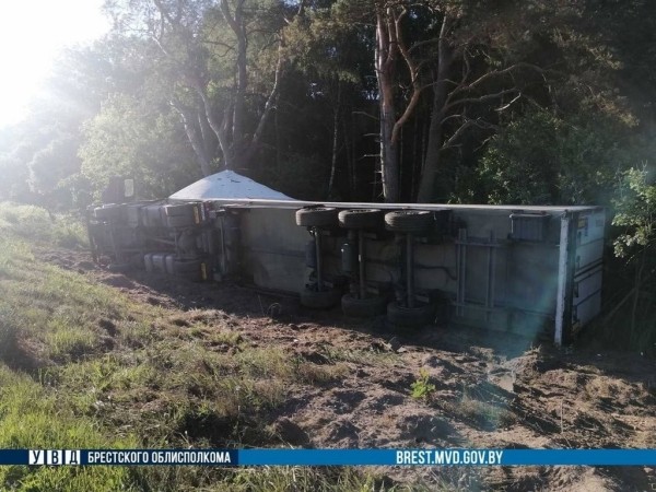 Всё из-за лося. На М1 под Брестом фура «ушла» в кювет