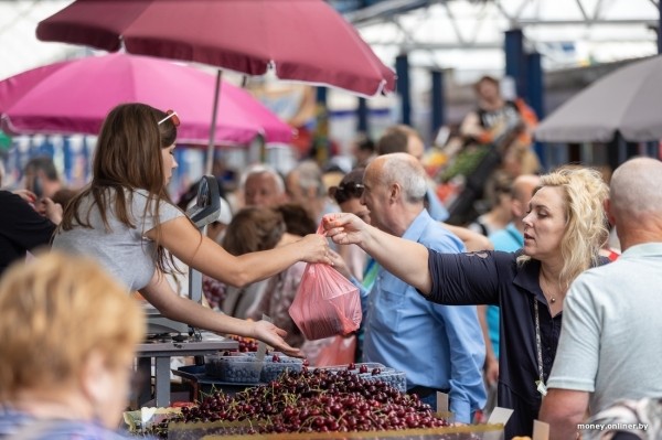 Начался сезон черники. Почем продают первые ягоды из Брестской области? Начался сезон черники. Почем продают первые ягоды из Брестской области?