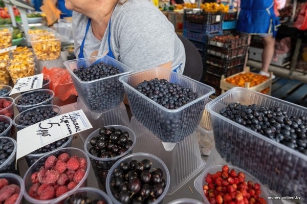 Начался сезон черники. Почем продают первые ягоды из Брестской области? Начался сезон черники. Почем продают первые ягоды из Брестской области?