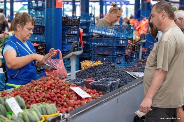 Начался сезон черники. Почем продают первые ягоды из Брестской области? Начался сезон черники. Почем продают первые ягоды из Брестской области?