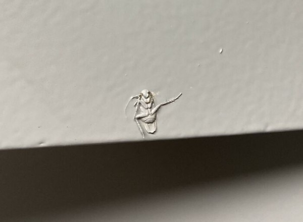 Что могло пойти не так? Всё! 33 строительных провала, которые заставят вас улыбнуться