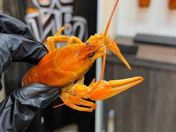 Весь июнь ЛИХИЕ БУДНИ в сети «Пиво Мастер» в Бресте! Скидки на весь ассортимент