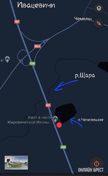 
                Читатель: Пропала кошка. Ситуация произошла ночью 7 июля на автодороге Минск-Брест
            