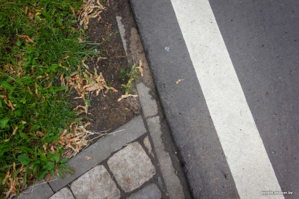 Как изменятся тело и фигура, если месяц заниматься бегом