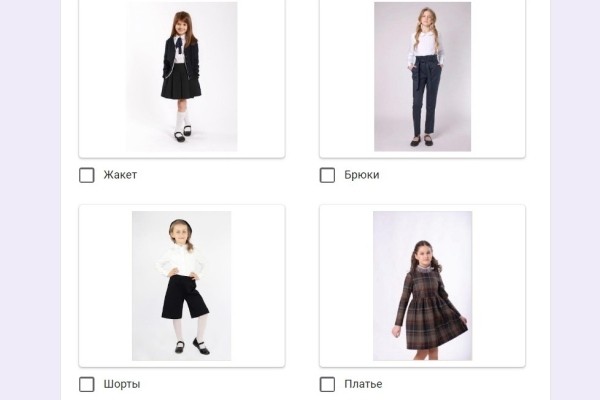 Жакет, юбка, бабочка... Белорусов просят решить, какие элементы школьной формы необходимы