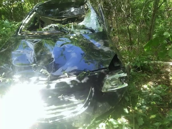 В Беларуси «Опель» сбил насмерть лося – пострадали водитель и пассажирка