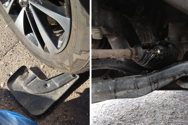 Собаки — это понятно. А посмотрите, что с машиной может сделать кот