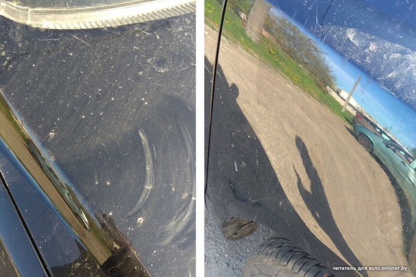 Собаки — это понятно. А посмотрите, что с машиной может сделать кот