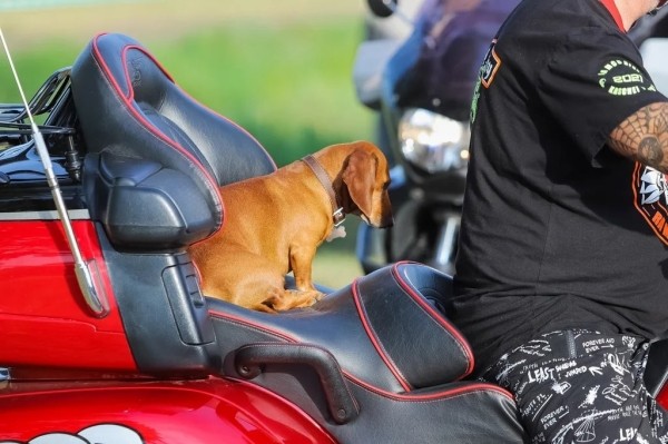 Смотрите, как прошёл первый день BIKE FEST ZHABINKA Смотрите, как прошёл первый день BIKE FEST ZHABINKA