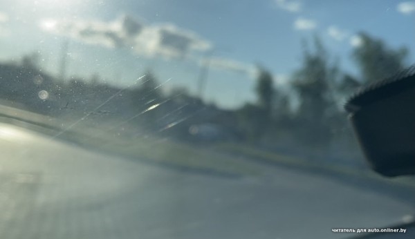 Собаки — это понятно. А посмотрите, что с машиной может сделать кот