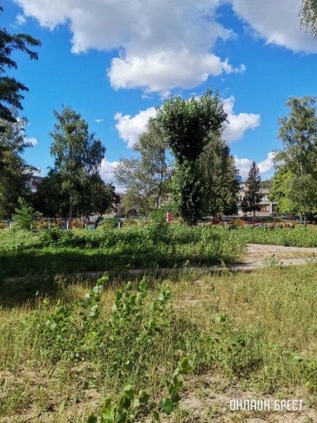 
                Читатель: Брест, ул. Янки Купалы, 12. Территория во дворе возле садика нуждается в покосе травы
            