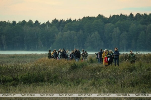 Рев оленей и бардовские песни у костра: послушать осень позвали туристов в Беловежской пуще