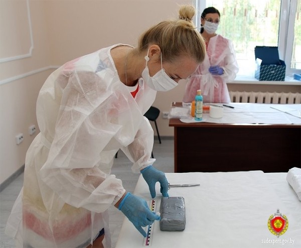 На границе в Бресте изъята крупная партия наркотиков (186 свертков с гашишем)