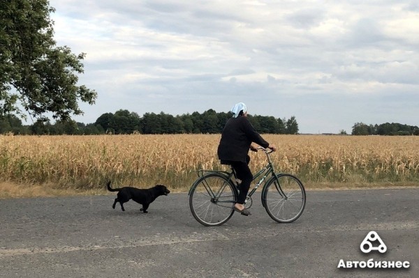 Быстрее или дешевле? Сколько можно сэкономить на медленной езде