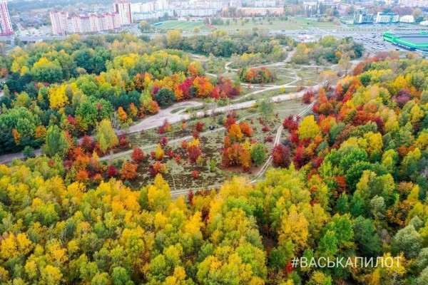 Краски осеннего Бреста
Краски осеннего Бреста