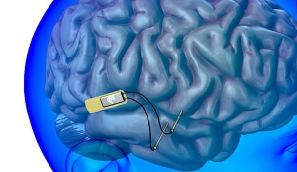 Учёные создали живого радиоуправляемого голубя