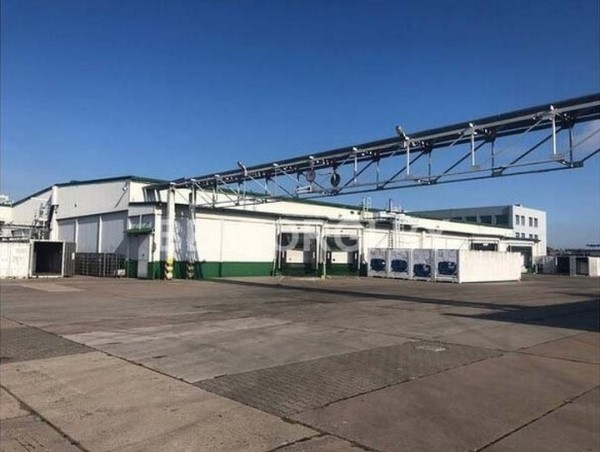 В Бресте за долги продают целый колбасный завод. Узнали условия и цену В Бресте за долги продают целый колбасный завод. Узнали условия и цену