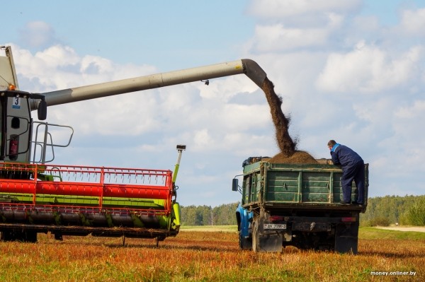 Как 2000 рублей превращаются в 8000. На гречихе в этом поле зарабатывают больше, чем на криптовалюте Как 2000 рублей превращаются в 8000. На гречихе в этом поле зарабатывают больше, чем на криптовалюте
