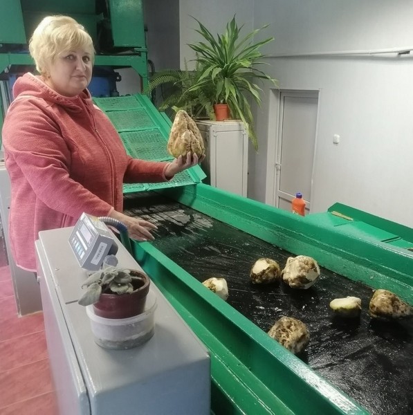 Сладкие горы в Каменецком районе