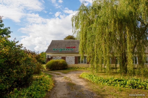 Как 2000 рублей превращаются в 8000. На гречихе в этом поле зарабатывают больше, чем на криптовалюте Как 2000 рублей превращаются в 8000. На гречихе в этом поле зарабатывают больше, чем на криптовалюте