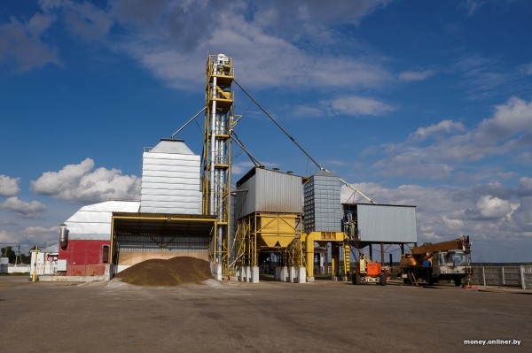 Как 2000 рублей превращаются в 8000. На гречихе в этом поле зарабатывают больше, чем на криптовалюте Как 2000 рублей превращаются в 8000. На гречихе в этом поле зарабатывают больше, чем на криптовалюте