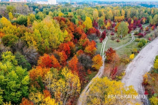 Краски осеннего Бреста
Краски осеннего Бреста