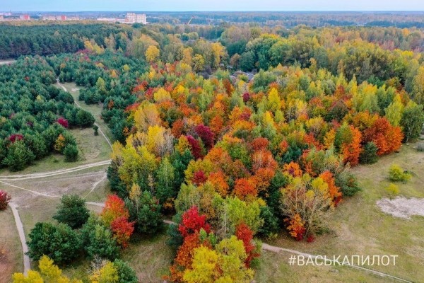 Краски осеннего Бреста
Краски осеннего Бреста