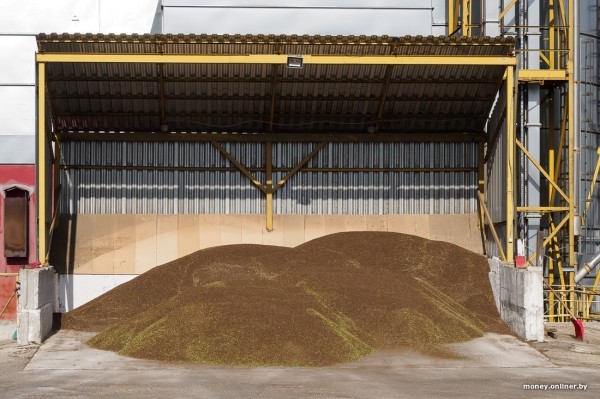 Как 2000 рублей превращаются в 8000. На гречихе в этом поле зарабатывают больше, чем на криптовалюте Как 2000 рублей превращаются в 8000. На гречихе в этом поле зарабатывают больше, чем на криптовалюте