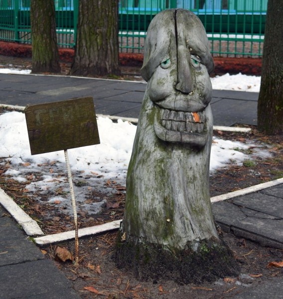 Странные грибы Беларуси. Можно ли их есть и что за это будет? Странные грибы Беларуси. Можно ли их есть и что за это будет?