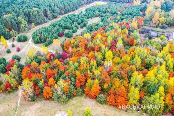 Краски осеннего Бреста
Краски осеннего Бреста