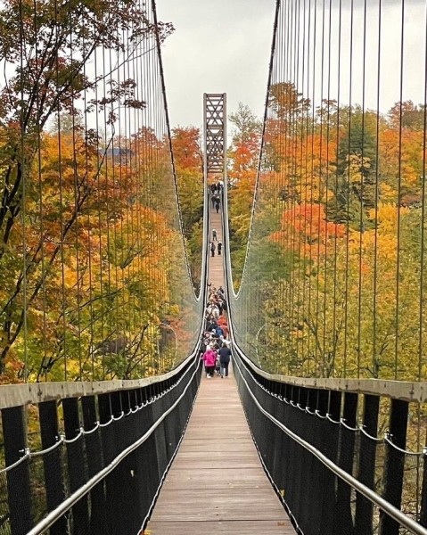 Открылся самый длинный в мире подвесной мост, сделанный в основном из дерева