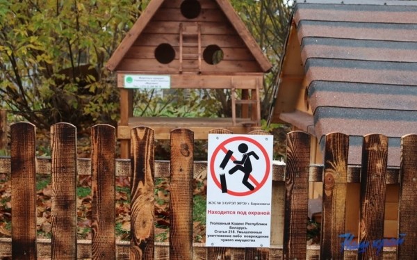 В Барановичах установили первые домики для бездомных котов