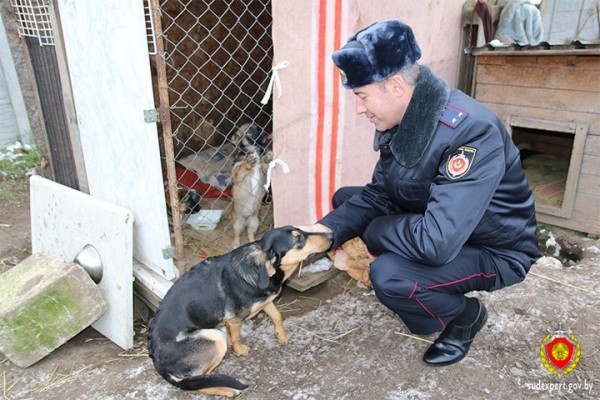 Брестские судебные эксперты помогли приюту для животных Брестские судебные эксперты помогли приюту для животных