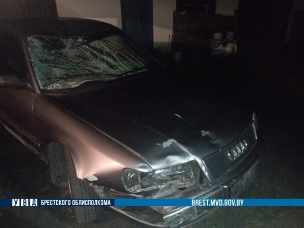 В Ивацевичском районе автомобиль сбил лося