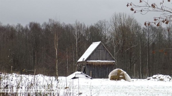 Как белоруска, вернувшаяся после 16 лет жизни в США, восстанавливает маленькую деревню