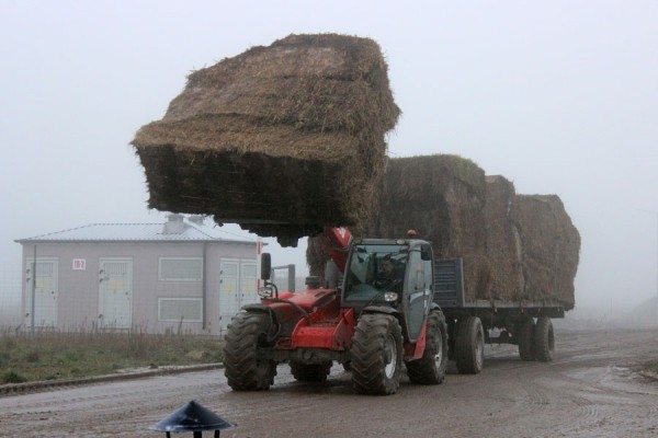 Комплекс по выращиванию грибниц в Кобринском районе замещает импорт и закрывает более половины потребностей внутреннего рынка Комплекс по выращиванию грибниц в Кобринском районе замещает импорт и закрывает более половины потребностей внутреннего рынка