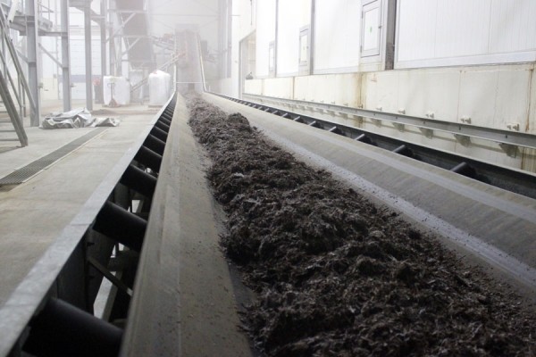 Комплекс по выращиванию грибниц в Кобринском районе замещает импорт и закрывает более половины потребностей внутреннего рынка Комплекс по выращиванию грибниц в Кобринском районе замещает импорт и закрывает более половины потребностей внутреннего рынка