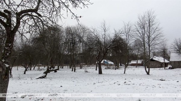 Как белоруска, вернувшаяся после 16 лет жизни в США, восстанавливает маленькую деревню